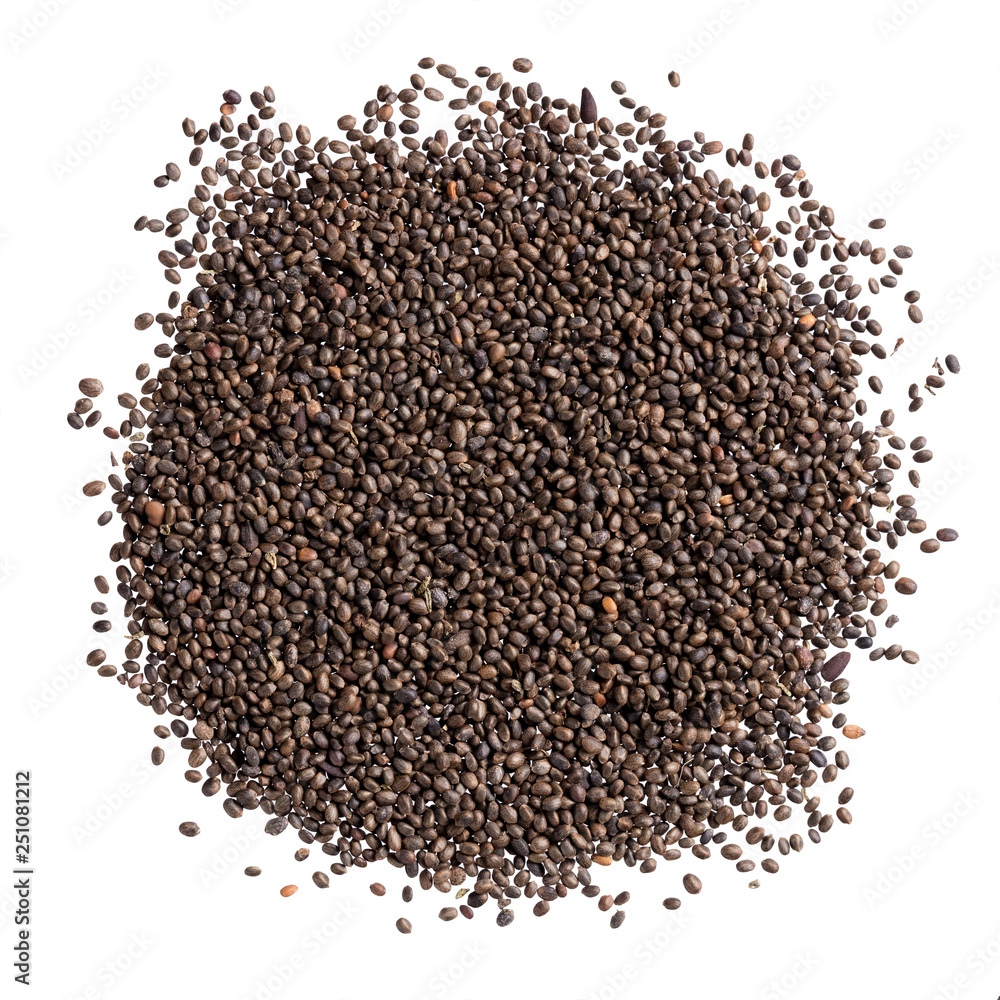 A heap of quality seeds of savory, spice for your beautiful garden. Can be used for create new unique packaging with seeds on background. A heap of quality seeds of savory, spice for your beautiful garden. Can be used for create new unique packaging with seeds on background.