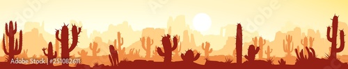 wide image of desert landscape