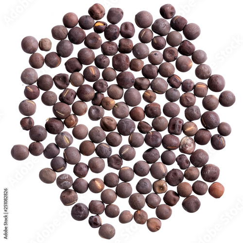 A heap of quality seeds of lathyrus odoratus, for your adorable garden. Can be used for create new stylish packaging with seeds on background.