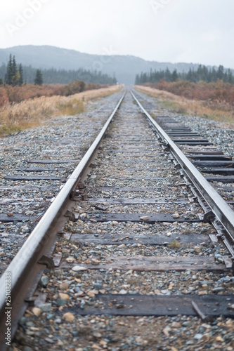 Train tracks in the wilderness
