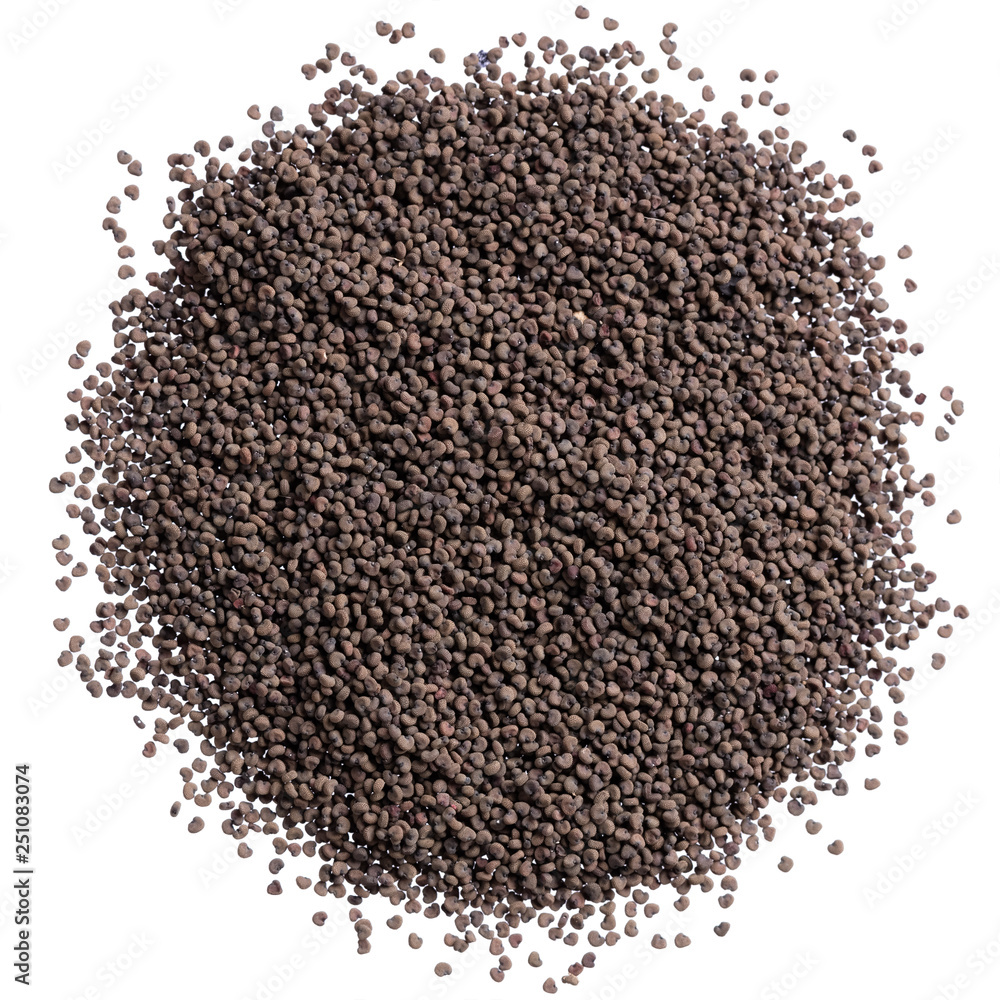 A heap of quality seeds of lychnis, flower for your adorable garden. Can be used for create new stylish packaging with seeds on background. A heap of quality seeds of lychnis, flower for your adorable garden. Can be used for create new stylish packaging with seeds on background.