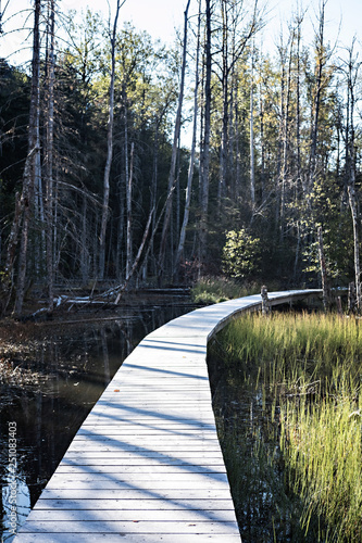 Beaver dam boardwalk