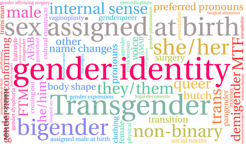 Gender Identity Word Cloud on a white background. 