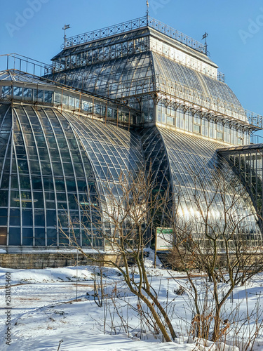 Vertical photo of old Botanical Garden, glass walls, multi-level greenhouse, facility allowing plants to bloom all year round, special climate for plants, winter concept. 