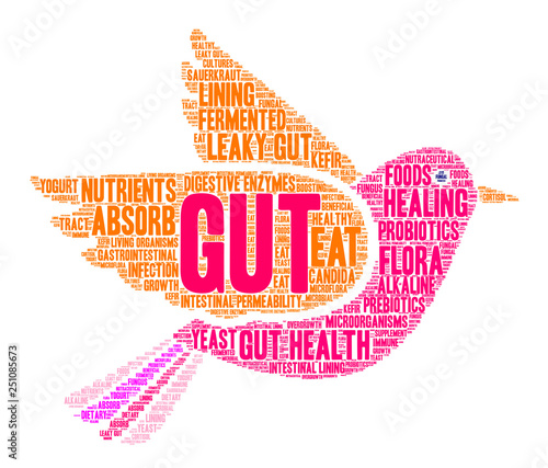 Gut Word Cloud