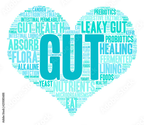 Gut Word Cloud