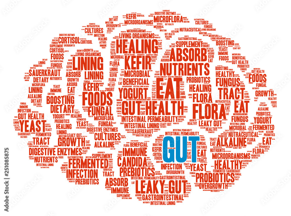 Gut Word Cloud on a white background. Gut Word Cloud on a white background.