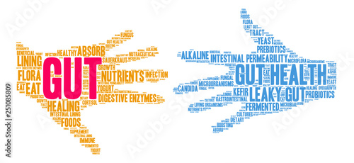 Gut Word Cloud