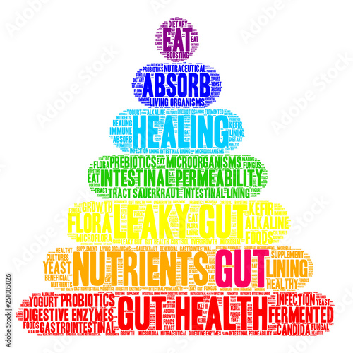Gut Word Cloud on a white background. 