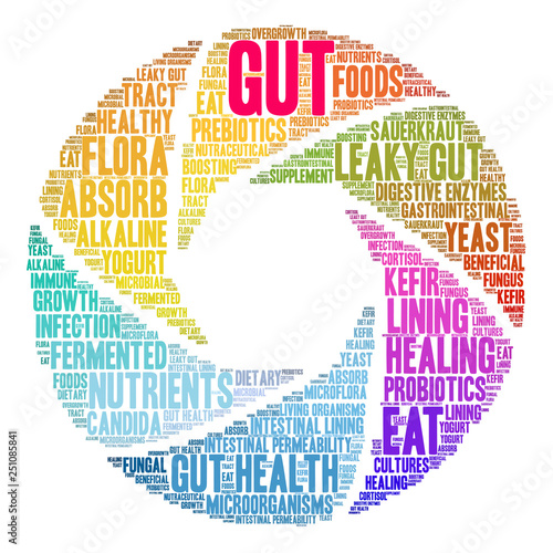 Gut Word Cloud on a white background. 