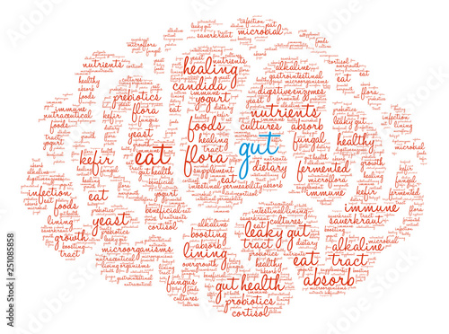 Gut Word Cloud on a white background. 