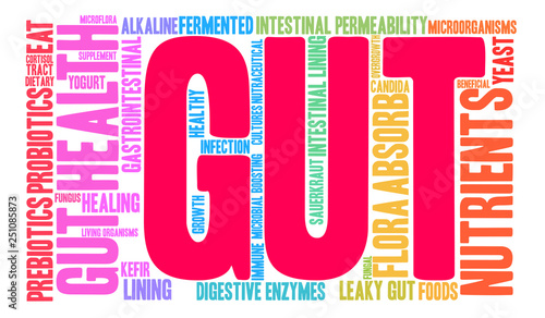 Gut Word Cloud