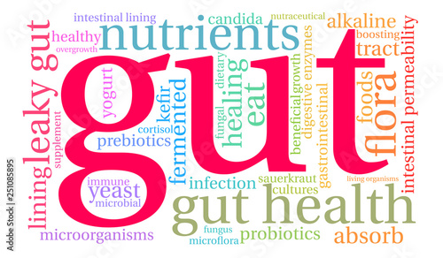 Gut Word Cloud on a white background. 