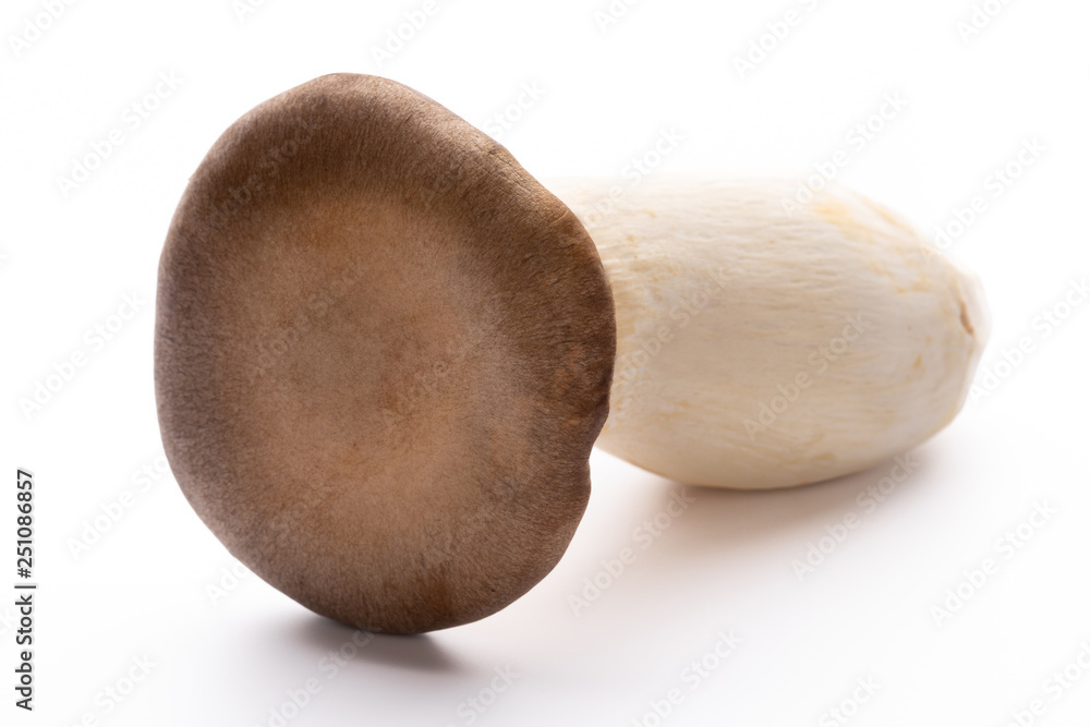 King oyster mushroom on white background. King oyster mushroom on white background.