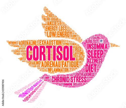 Cortisol Word Cloud