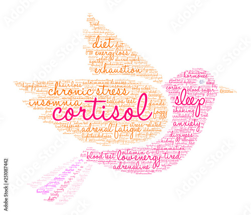 Cortisol Word Cloud on a white background. 