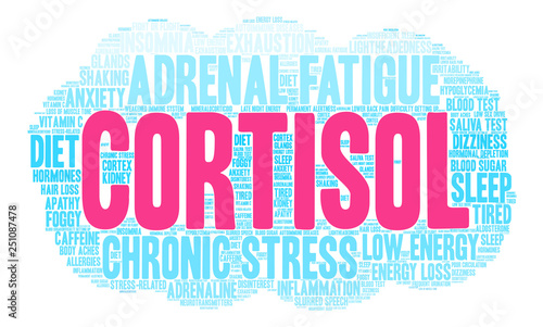 Cortisol Word Cloud on a white background. 