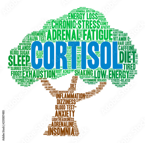 Cortisol Word Cloud