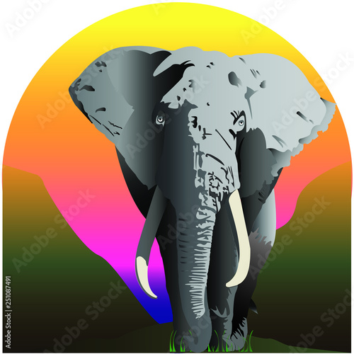 elefante 