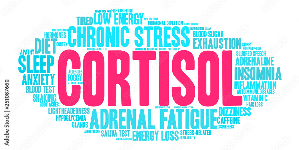 Fototapeta premium Cortisol Word Cloud on a white background. 