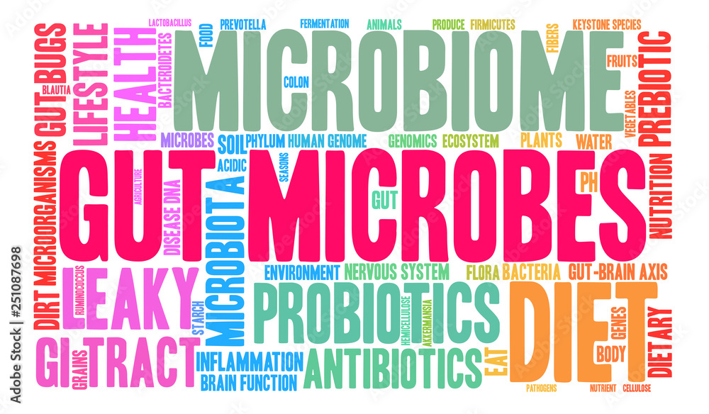 Gut Microbes Word Cloud on a white background. 