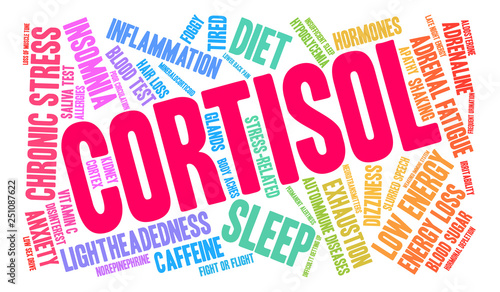 Cortisol Word Cloud on a white background. 