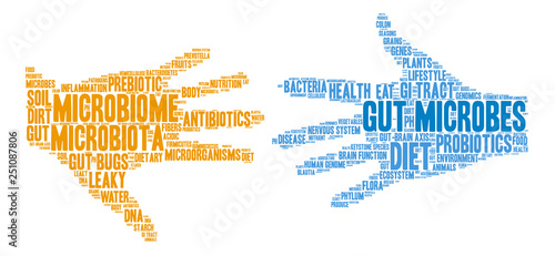 Gut Microbes Word Cloud
