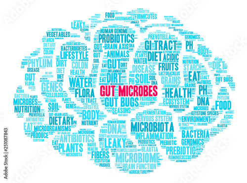 Gut Microbes Word Cloud