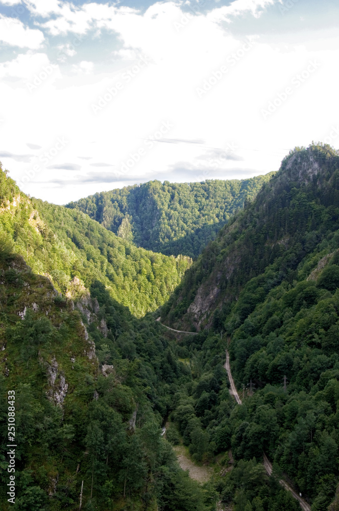 A green forest and mountains valley in Romania A green forest and mountains valley in Romania