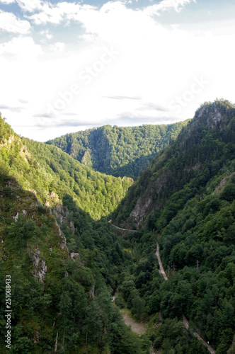 A green forest and mountains valley in Romania