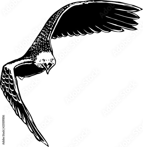 Eagle Tilted Vector Illustration