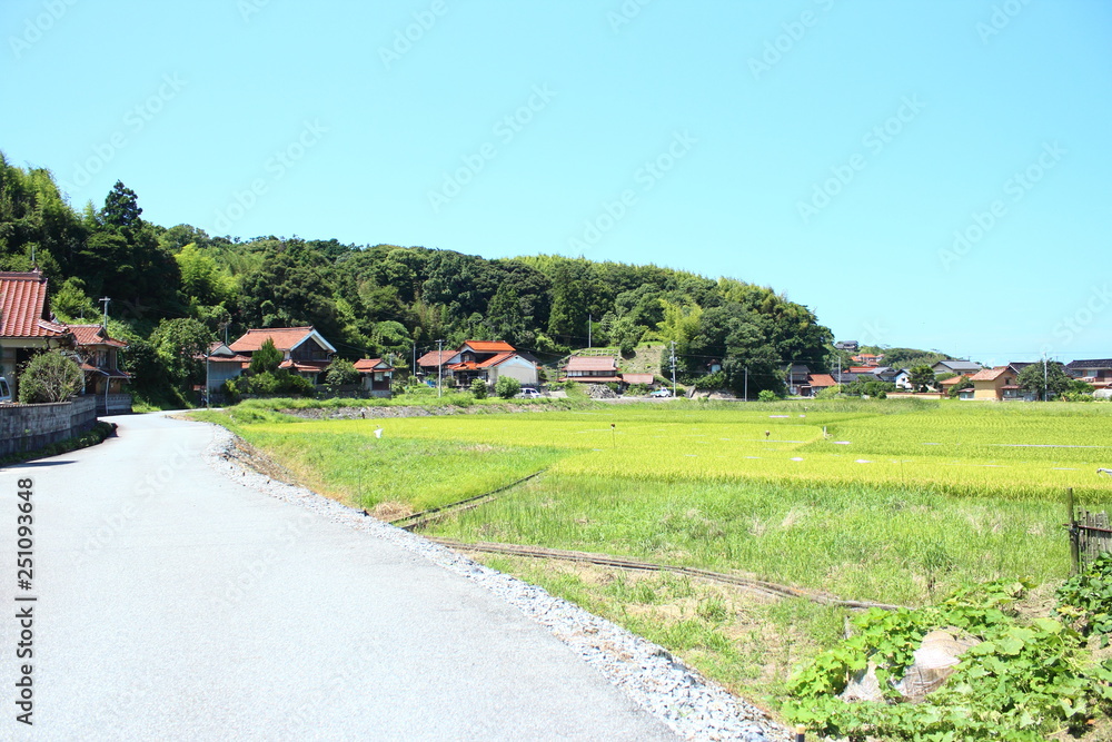 田舎 道路 田舎 道路