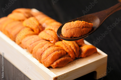 Konstfotografi うに　Sea urchin