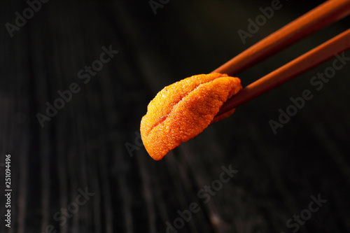 Canvastavla うに　Sea urchin