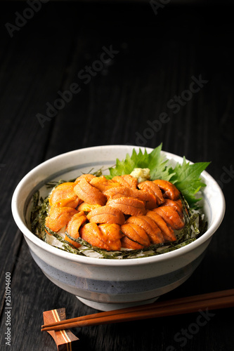 ウニ丼 Bowl of rice topped with sea urchin