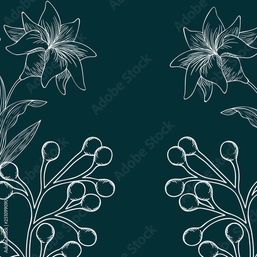 pattern plants and herbs isolated icon