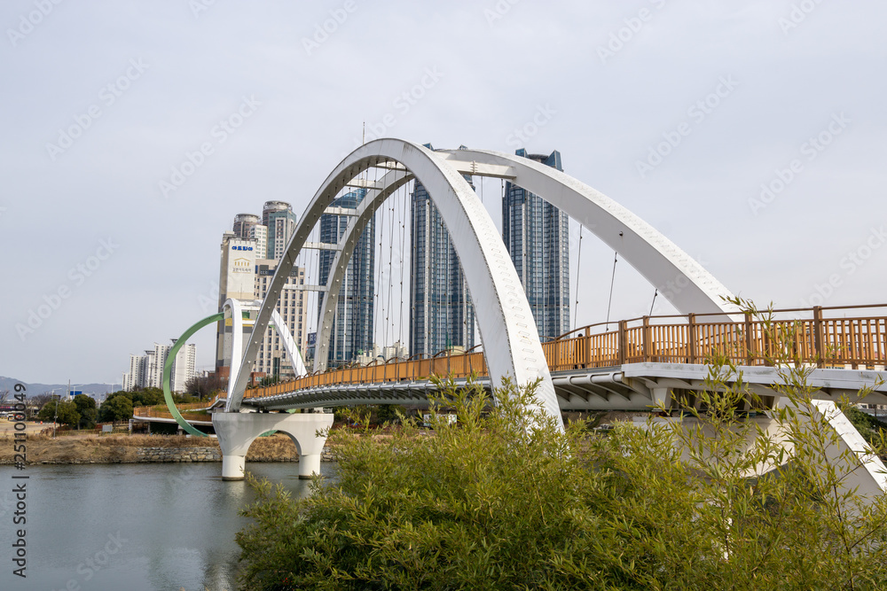Obraz premium taehwa bridge over the river