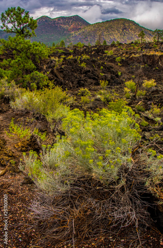 Lava Flow And Sunset Crater photo