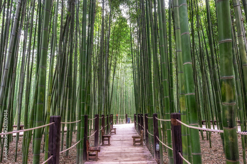 Fototapeta Naklejka Na Ścianę i Meble -  Simnidaebat bamboo forest bench