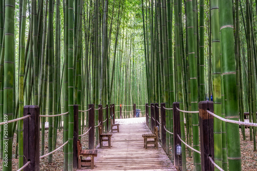 Simnidaebat bamboo forest bench