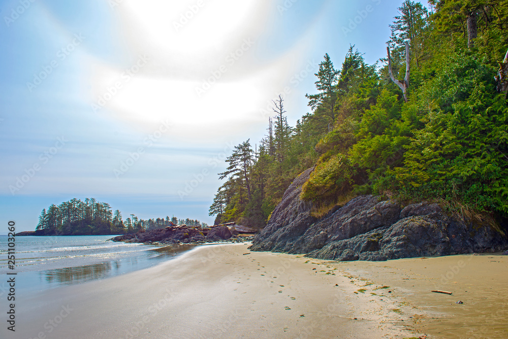 Naklejka premium View of Long Beach in Tofino, a popular destination in Vancouver Island, Canada