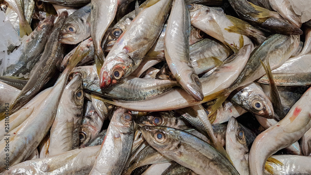 anchovy, hamsi, fish market