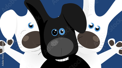 Hase
