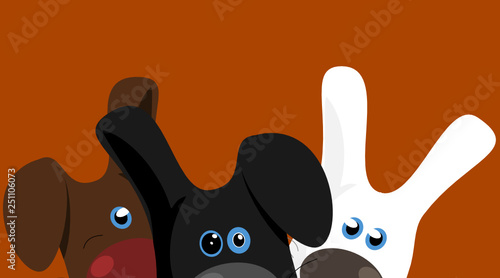 Hase
