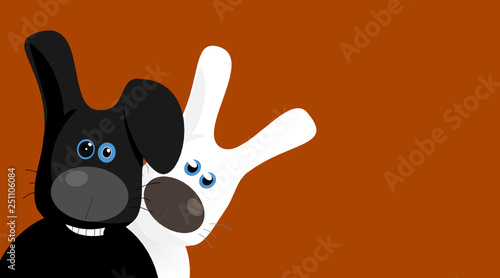 Hase