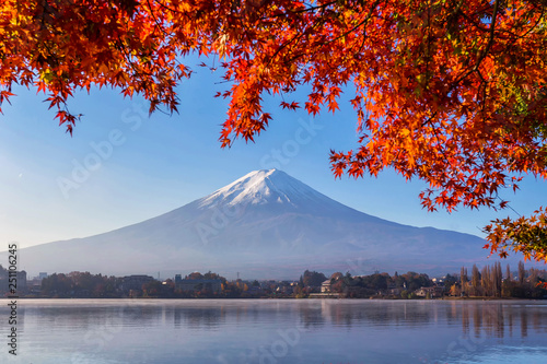 Fuji Mountain with red maple in Autumn at Kawaguchiko Lake  Japan. Mount Fuji is the highest mountain in Japan