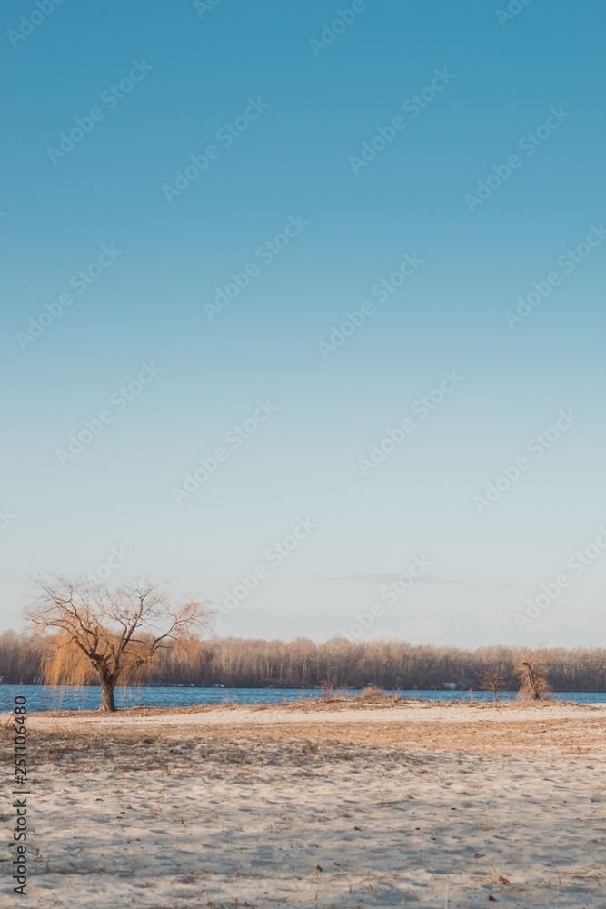 River coastline landscape in the morning. Landscape with trees and river. Colorful sky and colorful water in river reflected in morning. River coastline landscape in the morning. Landscape with trees and river. Colorful sky and colorful water in river reflected in morning.