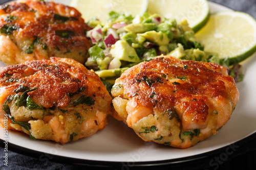 Salmon fritters served with avocado salsa and lime close-up. horizontal