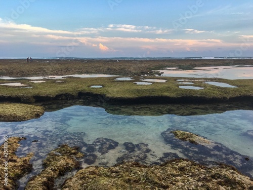 panoramic view of coastline