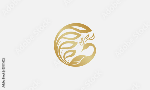 peacock logo design